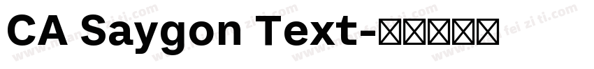 CA Saygon Text字体转换